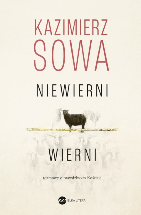 Niewierni wierni. Rozmowy o prawdziwym Kościele Niewierni wierni. Rozmowy o prawdziwym Kościele