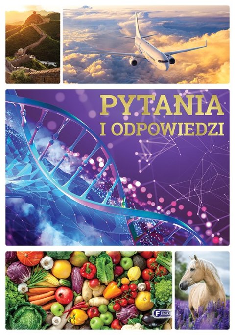 Pytania i odpowiedzi Pytania i odpowiedzi
