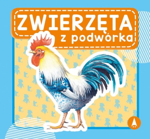 Zwierzęta z podwórka Zwierzęta z podwórka