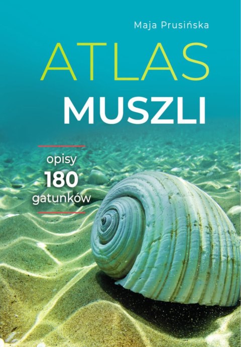 Atlas muszli Atlas muszli