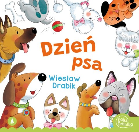 Dzień Psa Dzień Psa