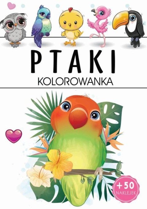 Ptaki. Kolorowanka Ptaki. Kolorowanka