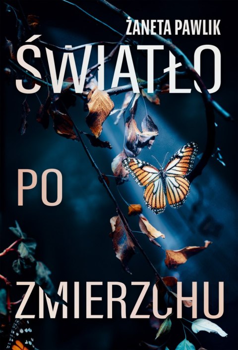 Światło po zmierzchu Światło po zmierzchu