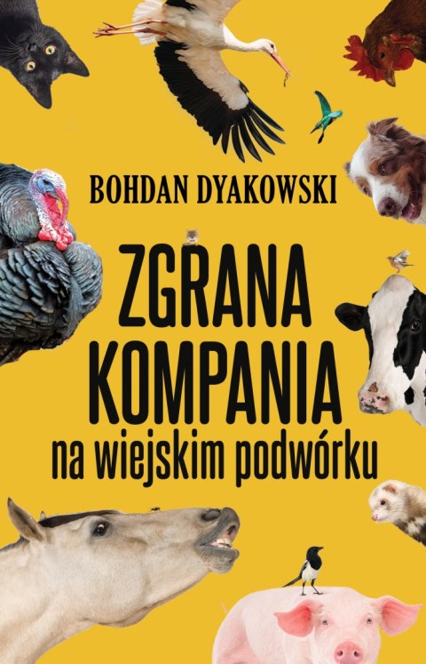Zgrana kompania. Na wiejskim podwórku Zgrana kompania. Na wiejskim podwórku