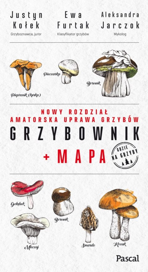 Grzybownik + mapa Grzybownik + mapa