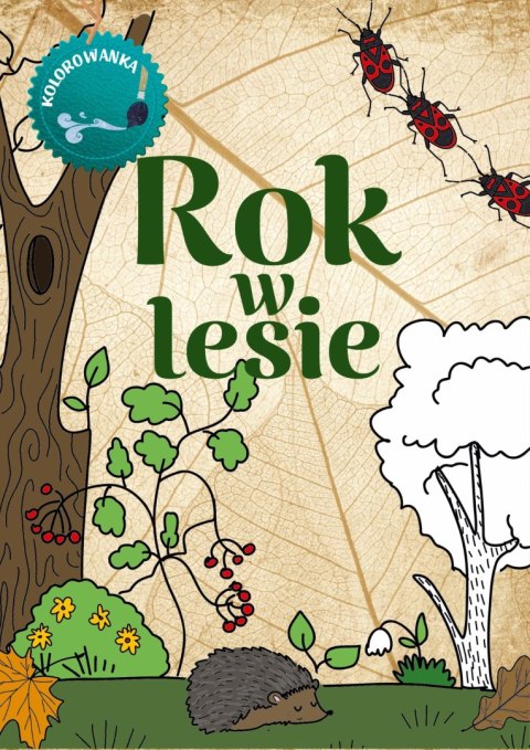 Rok w lesie. Kolorowanka wyd. 2023 Rok w lesie. Kolorowanka wyd. 2023