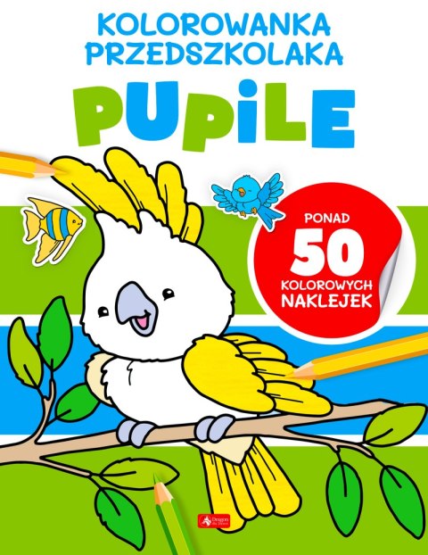 Pupile. Kolorowanka przedszkolaka Pupile. Kolorowanka przedszkolaka