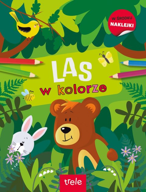 W kolorze. Las. W kolorze W kolorze. Las. W kolorze