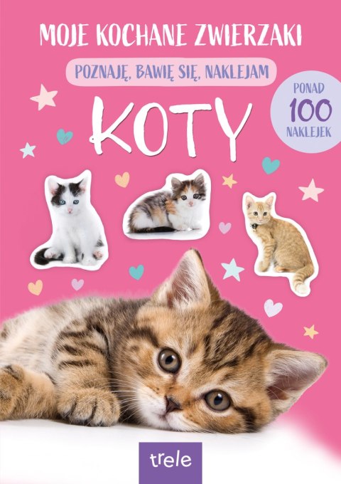 Koty. Moje kochane zwierzaki Koty. Moje kochane zwierzaki