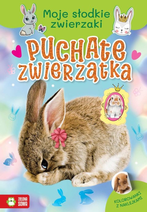 Puchate zwierzątka. Moje słodkie zwierzaki Puchate zwierzątka. Moje słodkie zwierzaki
