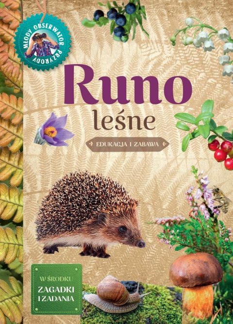 Runo leśne. Młody Obserwator Przyrody Runo leśne. Młody Obserwator Przyrody