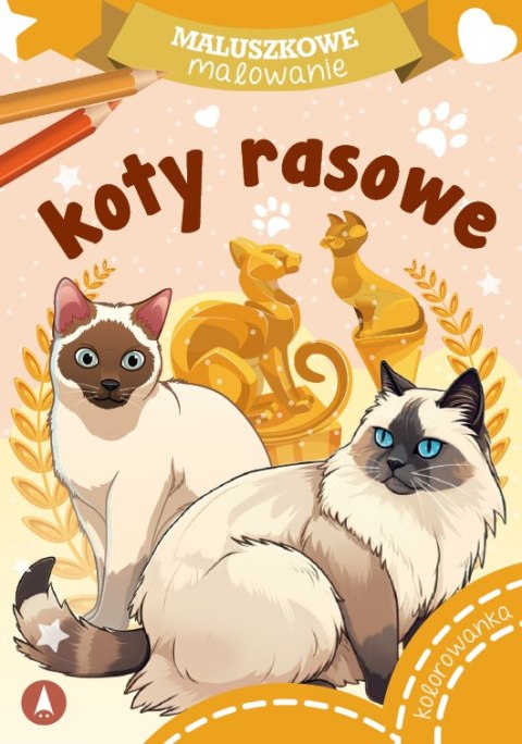 Koty rasowe. Maluszkowe malowanie Koty rasowe. Maluszkowe malowanie