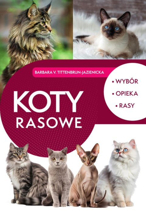 Koty rasowe. Wybór, opieka, rasy Koty rasowe. Wybór, opieka, rasy