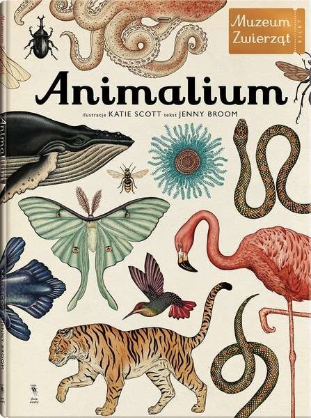 Animalium muzeum zwierząt wyd. 3 Animalium muzeum zwierząt wyd. 3