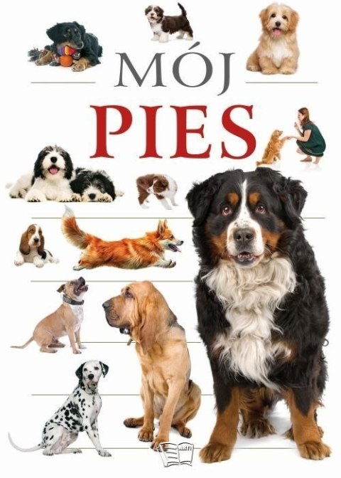 Mój pies Mój pies