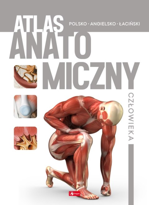 Atlas anatomiczny człowieka Atlas anatomiczny człowieka