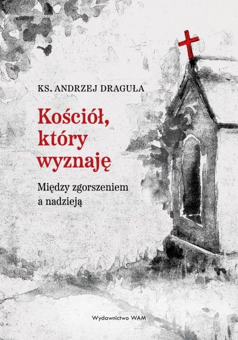 Kościół, który wyznaję. Między zgorszeniem a nadzieją Kościół, który wyznaję. Między zgorszeniem a nadzieją