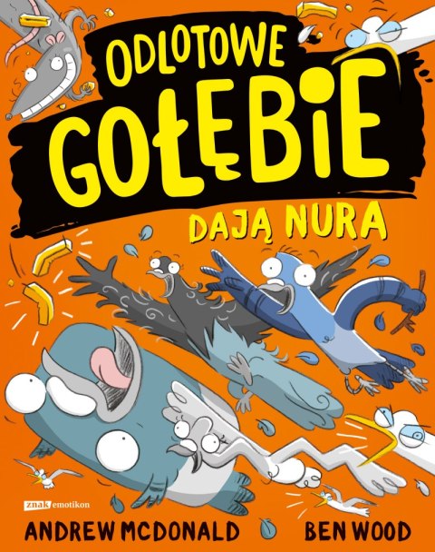 Odlotowe gołębie dają nura Odlotowe gołębie dają nura