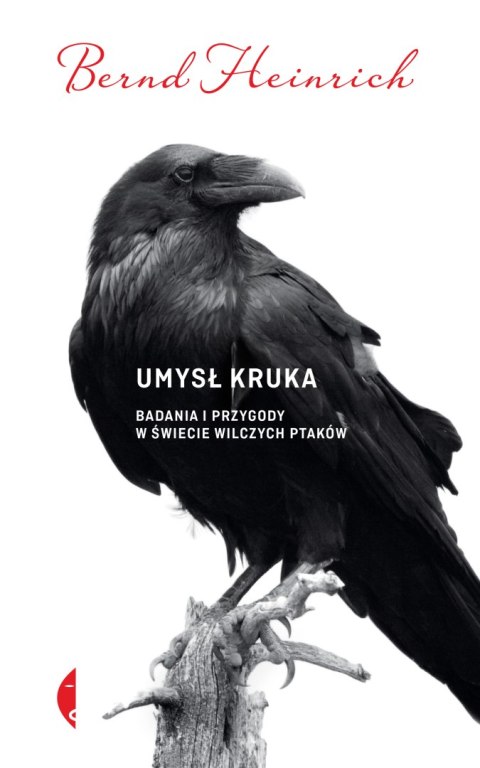 Umysł kruka badania i przygody w świecie wilczych ptaków Umysł kruka badania i przygody w świecie wilczych ptaków