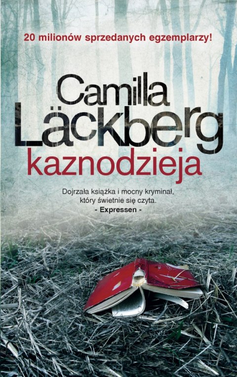 Kaznodzieja. Fjällbacka. Tom 2 wyd. 2023 Kaznodzieja. Fjällbacka. Tom 2 wyd. 2023