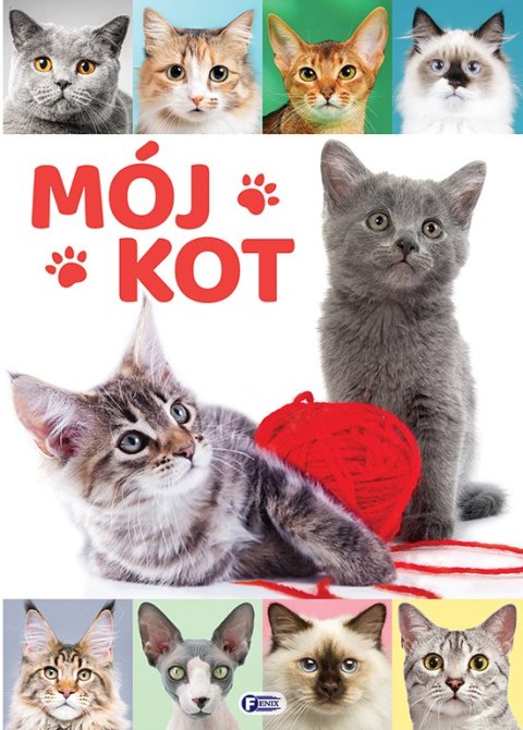 Mój Kot Mój Kot