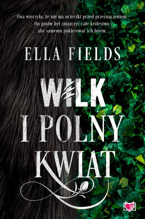 Wilk i Polny Kwiat Wilk i Polny Kwiat