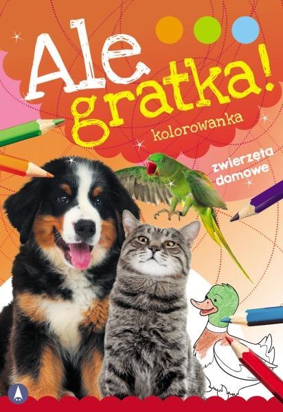 Zwierzęta domowe. Ale Gratka! Zwierzęta domowe. Ale Gratka!