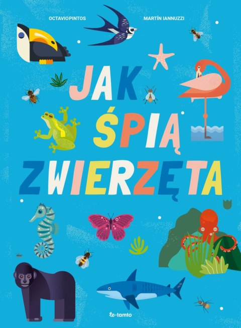 Jak śpią zwierzęta Jak śpią zwierzęta