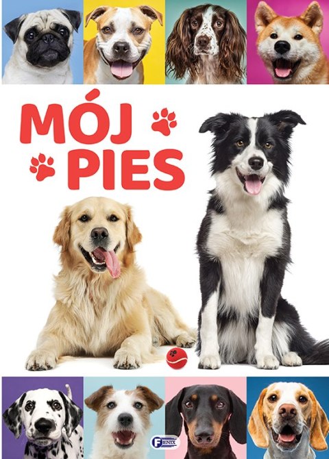 Mój pies Mój pies