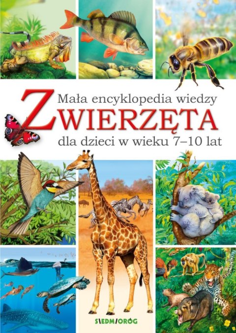 Zwierzęta. Mała encyklopedia wiedzy wyd. 2024 Zwierzęta. Mała encyklopedia wiedzy wyd. 2024