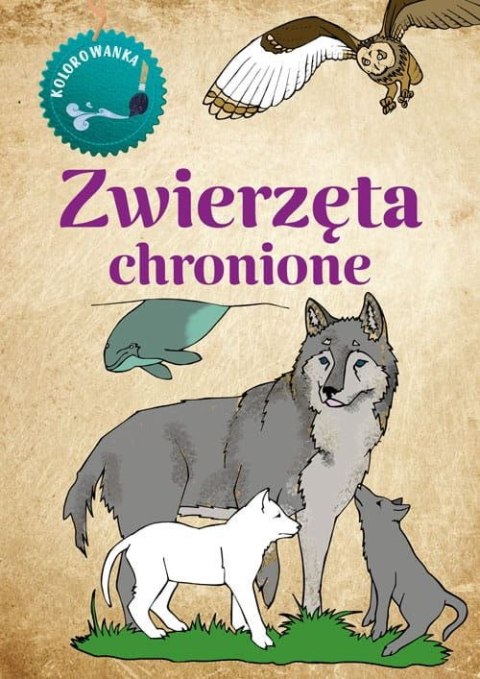 Zwierzęta chronione. Kolorowanka Zwierzęta chronione. Kolorowanka