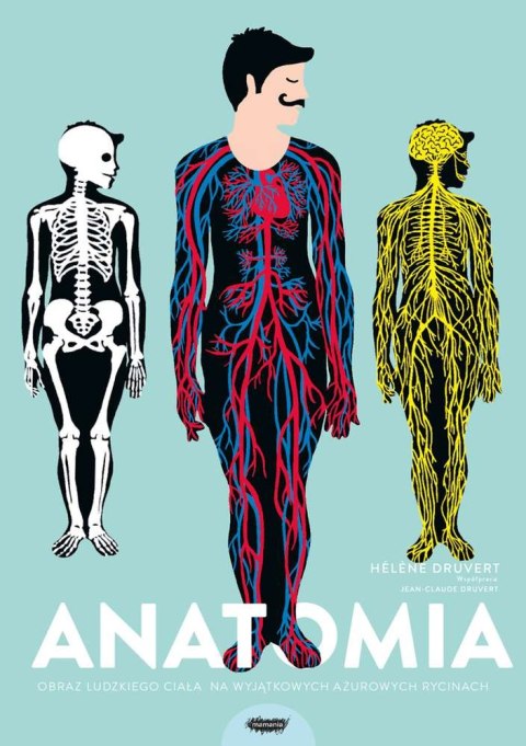 Anatomia obraz ludzkiego ciała na wyjątkowych ażurowych rycinach Anatomia obraz ludzkiego ciała na wyjątkowych ażurowych rycinach