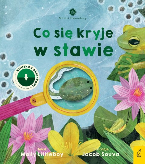 Co się kryje w stawie. Młodzi przyrodnicy Co się kryje w stawie. Młodzi przyrodnicy