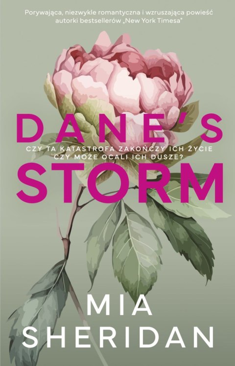 Dane's Storm Dane's Storm