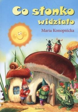 Co słonko widziało wyd. 2014