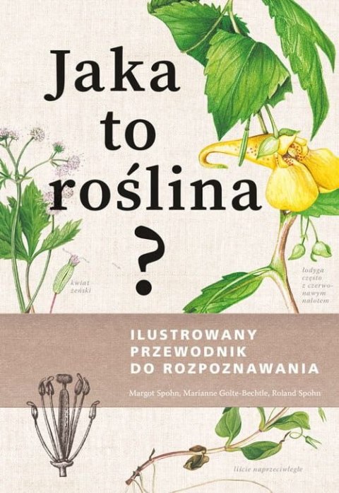 Jaka to roślina? Ilustrowany przewodnik do rozpoznawania Jaka to roślina? Ilustrowany przewodnik do rozpoznawania