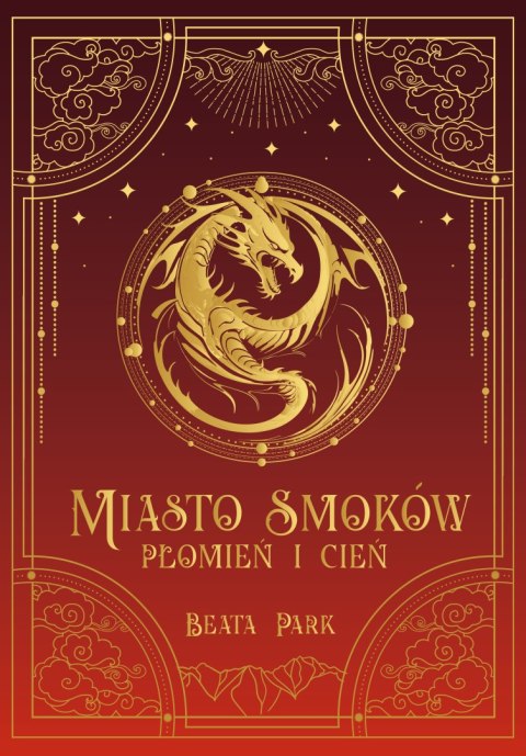 Płomień i cień. Miasto smoków. Tom 1 Płomień i cień. Miasto smoków. Tom 1