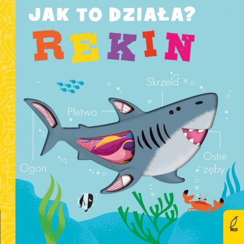 Rekin. Jak to działa Rekin. Jak to działa