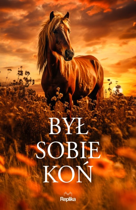 Był sobie koń Był sobie koń