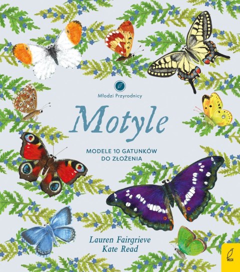 Motyle. Modele 3D. Młodzi przyrodnicy Motyle. Modele 3D. Młodzi przyrodnicy