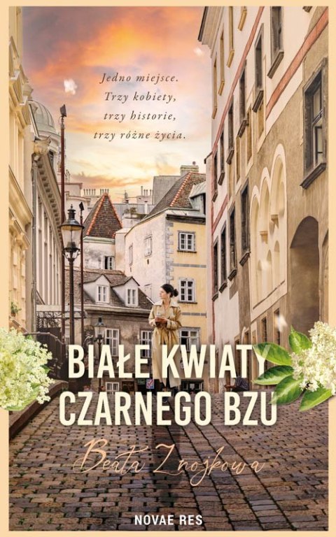 Białe kwiaty czarnego bzu Białe kwiaty czarnego bzu