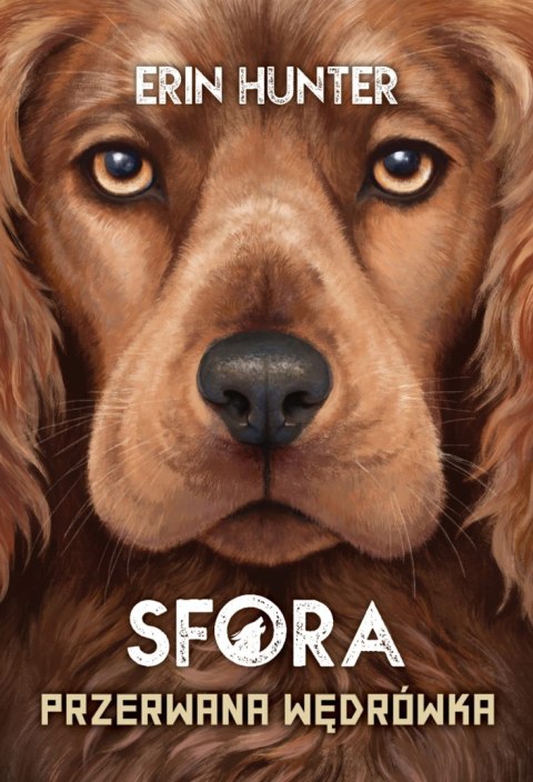 Przerwana wędrówka. Sfora. Tom 4 Przerwana wędrówka. Sfora. Tom 4