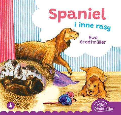 Spaniel i inne rasy Spaniel i inne rasy