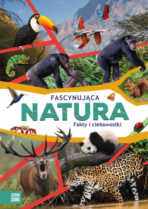 Fascynująca natura Fascynująca natura