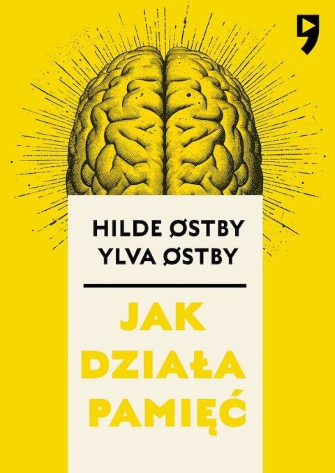 Jak działa pamięć Jak działa pamięć