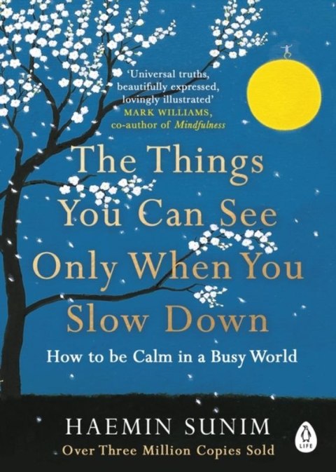 The Things You Can See Only When You Slow Down wer. angielska The Things You Can See Only When You Slow Down wer. angielska