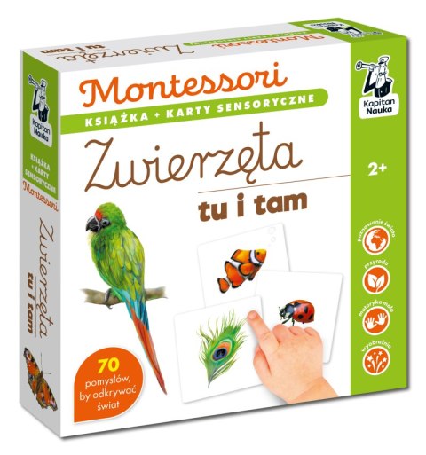 Zwierzęta tu i tam. Kapitan Nauka. Montessori. Karty sensoryczne Zwierzęta tu i tam. Kapitan Nauka. Montessori. Karty sensoryczne