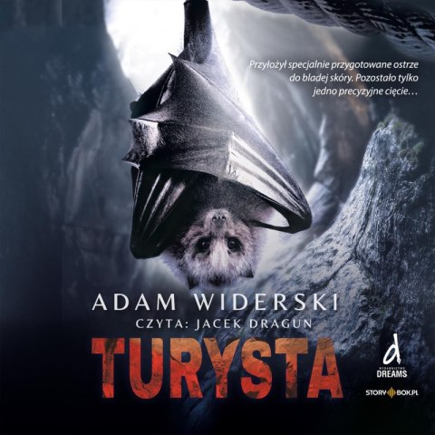 CD MP3 Turysta CD MP3 Turysta