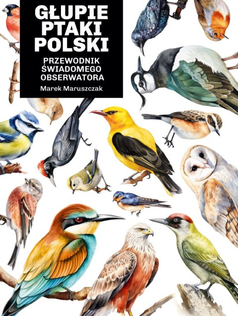 Głupie ptaki Polski. Przewodnik świadomego obserwatora Głupie ptaki Polski. Przewodnik świadomego obserwatora