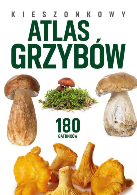 Kieszonkowy atlas grzybów. 180 gatunków Kieszonkowy atlas grzybów. 180 gatunków